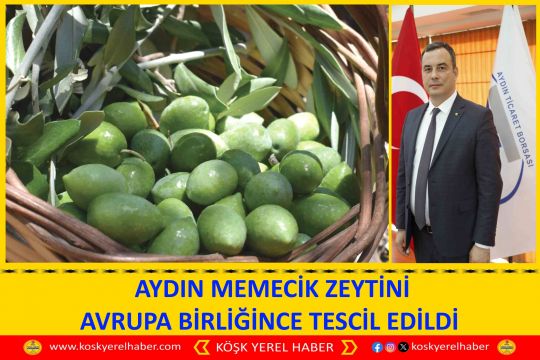 AYDIN MEMECİK ZEYTİNİ AVRUPA BİRLİĞİNCE TESCİL EDİLDİ 