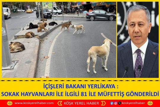 İÇİŞLERİ BAKANI YERLİKAYA : SOKAK HAYVANLARI İLE İLGİLİ 81 İLE MÜFETTİŞ GÖNDERİLDİ