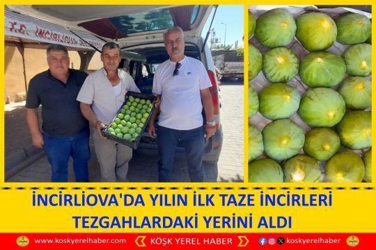 İNCİRLİOVA'DA YILIN İLK TAZE İNCİRLERİ TEZGAHLARDAKİ YERİNİ ALDI