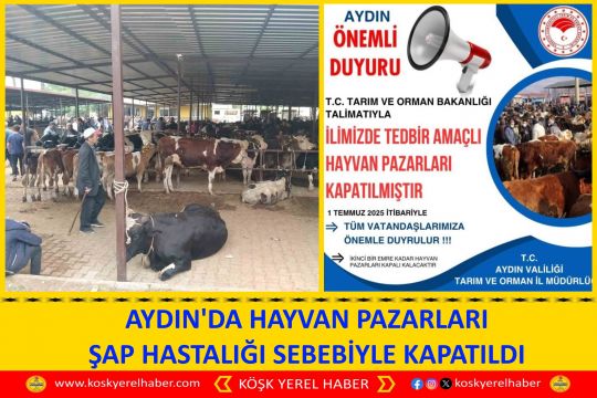 AYDIN'DA HAYVAN PAZARLARI ŞAP HASTALIĞI SEBEBİYLE KAPATILDI