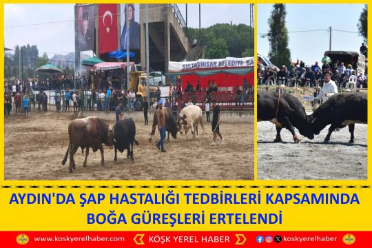 AYDIN'DA ŞAP HASTALIĞI TEDBİRLERİ KAPSAMINDA BOĞA GÜREŞLERİ ERTELENDİ