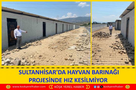 SULTANHİSAR'DA HAYVAN BARINAĞI PROJESİNDE HIZ KESİLMİYOR 