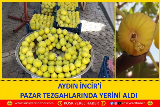 AYDIN İNCİR'İ PAZAR TEZGAHLARINDA YERİNİ ALDI 