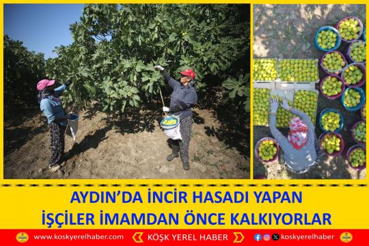 AYDIN’DA İNCIR HASADI YAPAN İŞÇİLER İMAMDAN ÖNCE KALKIYORLAR