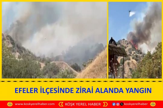 EFELER İLÇESİNDE ZİRAİ ALANDA YANGIN